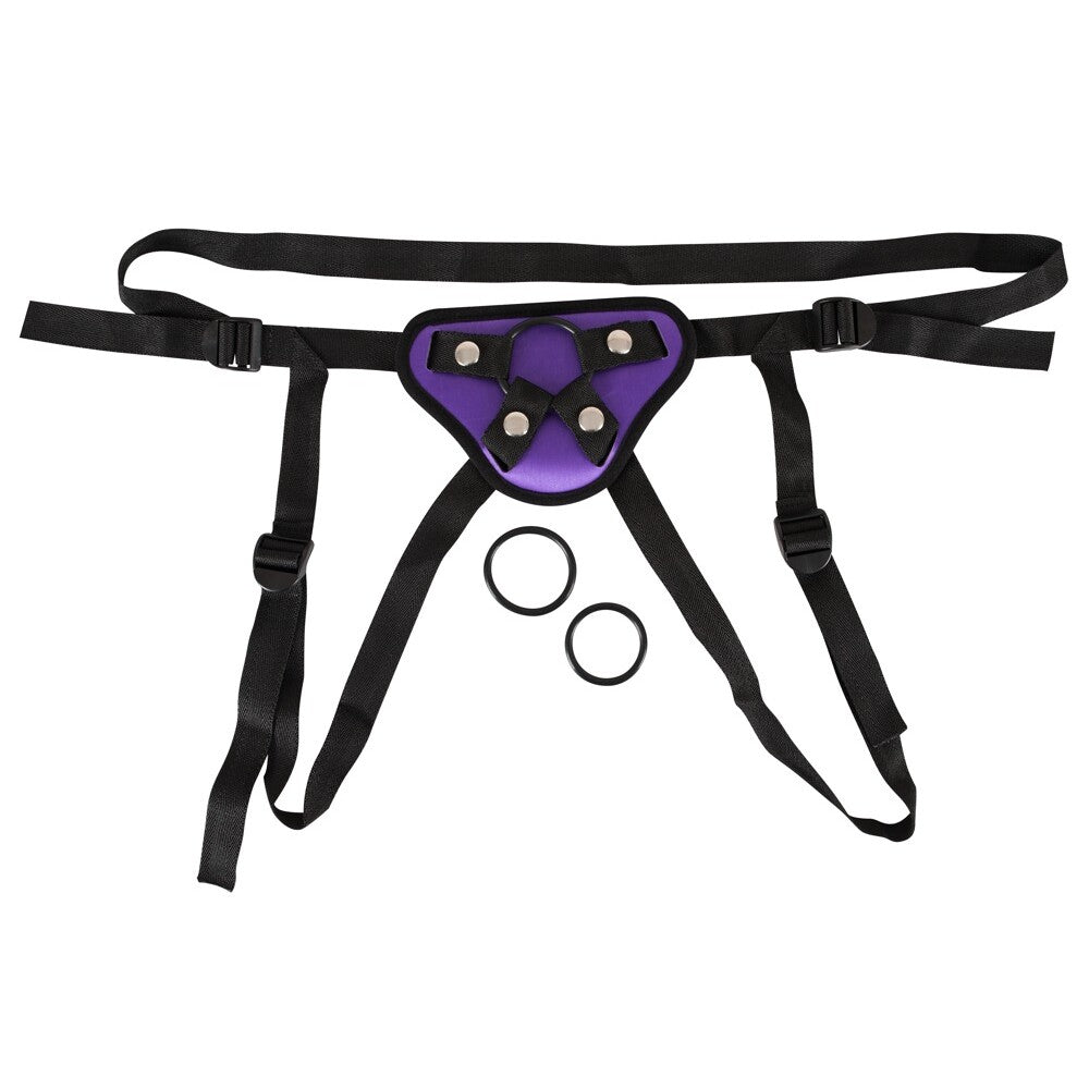 Purple And Black Universal Harness-Katys Boutique