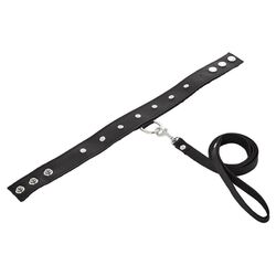 SportSheets Leather Leash And Collar-Katys Boutique